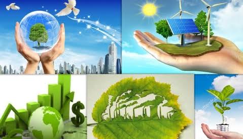 Chính sách thuế bảo vệ môi trường tại Việt Nam: thực trạng và định hướng hoàn thiện trong bối cảnh phát triển kinh tế xanh