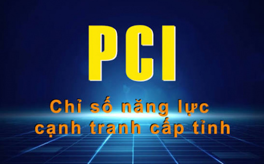 Chuyển hóa dữ liệu từ Chỉ số Năng lực cạnh tranh cấp tỉnh (PCI) và Chỉ số Hiệu quả quản trị và hành chính công cấp tỉnh (PAPI) thành hành động trong quản trị địa phương theo mô hình chính quyền hai cấp