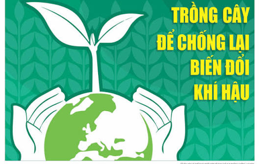 Kinh nghiệm quốc tế về chính sách thúc đẩy kế toán quản trị môi trường và bài học vận dụng cho Việt Nam
