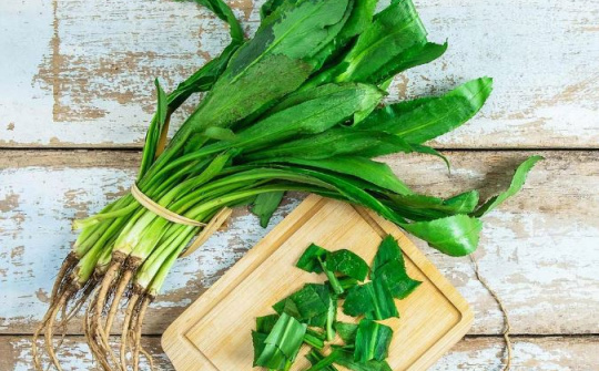 Xác định hàm lượng phenolic, flavonoid và saponin tổng số trong cây ngò gai (Eryngium foetidum L.)