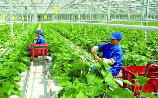 Phát triển mô hình kinh doanh xanh trong các doanh nghiệp khởi nghiệp tại Việt Nam