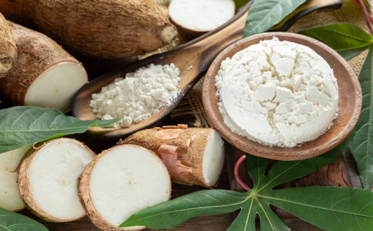 Bộ Công Thương ban hành Quy chuẩn kỹ thuật quốc gia đối với sản phẩm tinh bột sắn thực phẩm