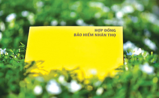 Giải pháp nâng cao hiệu quả sinh lời của các doanh nghiệp kinh doanh bảo hiểm nhân thọ tại Việt Nam trong bối cảnh mới