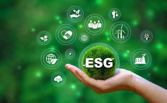 ESG tại Việt Nam: Từ nhận thức đến thực tiễn và hàm ý cho tăng trưởng bền vững