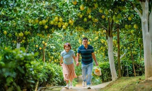 Hành vi tiêu dùng du lịch xanh của du khách tại Việt Nam