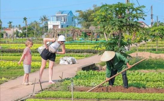 Những yếu tố ảnh hưởng đến sự hài lòng của khách du lịch quốc tế về chất lượng dịch vụ homestay tại Hà Nội