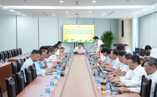 TKV triển khai đồng bộ các giải pháp hoàn thành kế hoạch sản xuất, tiêu thụ than tháng 7/2026