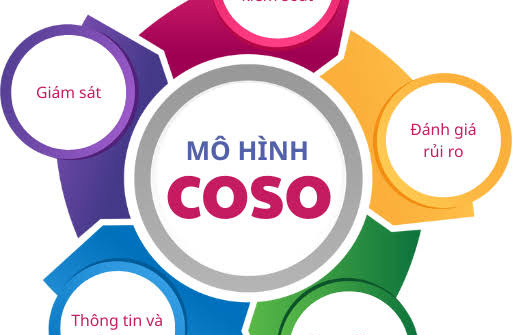 Đánh giá hệ thống kiểm soát nội bộ chu trình mua hàng và thanh toán theo khung COSO tại doanh nghiệp vừa và nhỏ ở Việt Nam