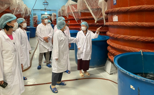 Cục ĐCK kiểm tra đánh giá hiệu quả các đề án khuyến công quốc gia tại An Giang