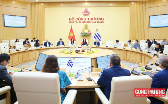 Kỳ họp Ủy ban Hỗn hợp lần thứ IV: Tăng cường hợp tác toàn diện Việt Nam - Uruguay