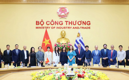 [CHÙM ẢNH] Kỳ họp lần IV Ủy ban Hỗn hợp về Hợp tác kinh tế, thương mại và đầu tư giữa Việt Nam và Uruguay