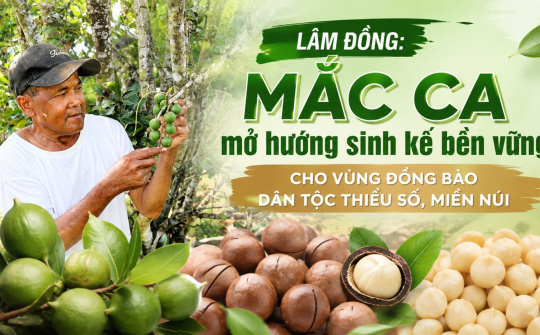[eMagazine] Lâm Đồng: Mắc ca mở hướng sinh kế bền vững cho vùng đồng bào dân tộc thiểu số, miền núi