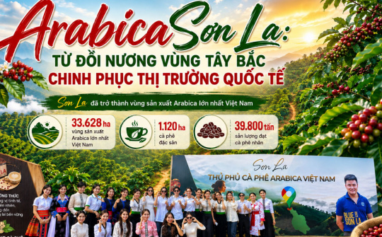 [eMagazine] Arabica Sơn La: Từ đồi nương vùng Tây Bắc chinh phục thị trường quốc tế