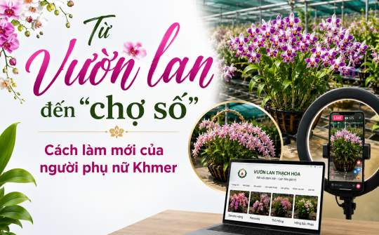 (eMagazine) Từ vườn lan đến “chợ số”: Cách làm mới của người phụ nữ Khmer