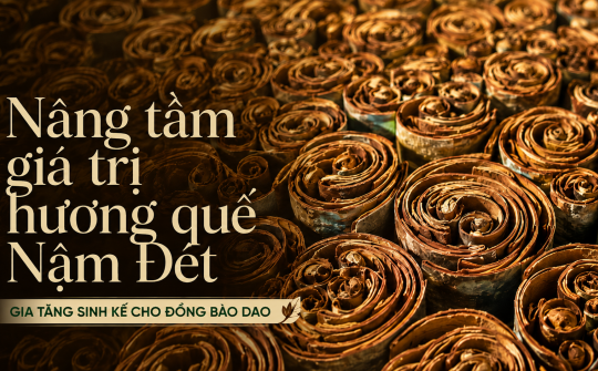 [eMagazine] Nâng tầm giá trị hương quế Nậm Đét - Gia tăng sinh kế cho đồng bào Dao