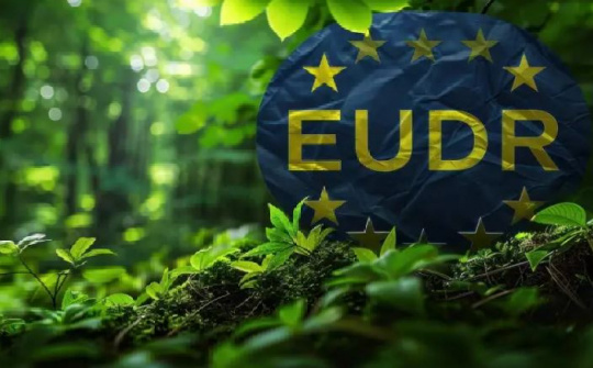 EU ban hành hướng dẫn mới về EUDR: Doanh nghiệp Việt Nam cần chủ động hoàn thiện hồ sơ truy xuất nguồn gốc
