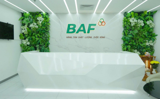 BAF gia nhập rổ FTSE Global Total cap trong tiến trình nâng hạng thị trường chứng khoán Việt Nam