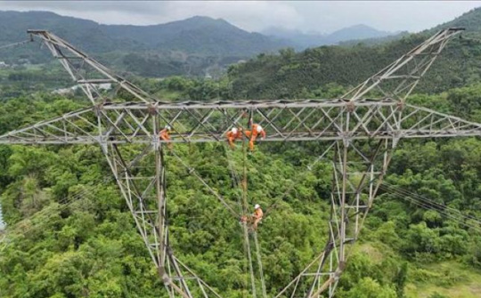 Bút ký - Những người đi dọc đường dây