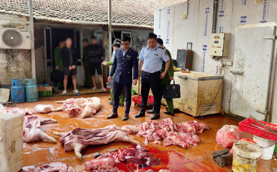 Hưng Yên: Chuyển cơ quan điều tra vụ gần 1 tấn thịt lợn nghi nhiễm dịch tả lợn châu Phi