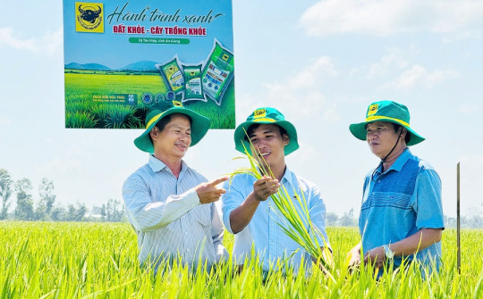 Đất khỏe, cây khỏe, người nông dân thêm niềm tin