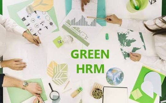 Liên kết giữa quản trị nguồn nhân lực xanh, lãnh đạo xanh và hiệu quả làm việc của nhân viên trong doanh nghiệp nhỏ và vừa tại Thành phố Hồ Chí Minh