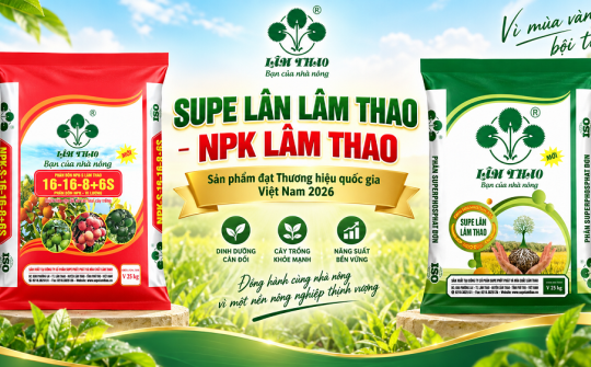 Supe Lân Lâm Thao, NPK Lâm Thao được công nhận sản phẩm đạt Thương hiệu quốc gia Việt Nam 2026