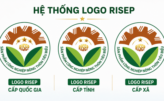 Số hóa bình chọn RISEP: Những bước đi đầu tiên