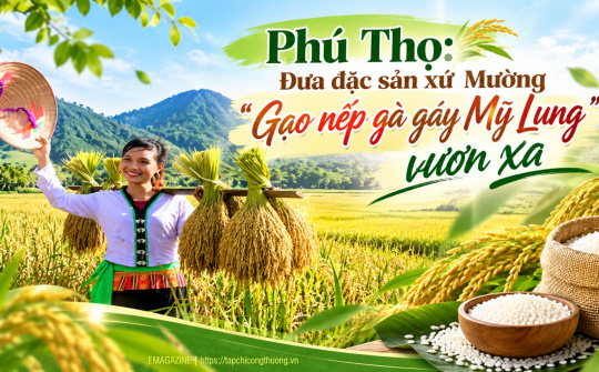 [eMagazine] Phú Thọ: Đưa đặc sản xứ Mường “Gạo nếp gà gáy Mỹ Lung” vươn xa