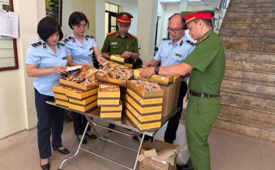 Hà Nội: 200 bánh Trung thu nhập lậu bị phát hiện trước mùa cao điểm