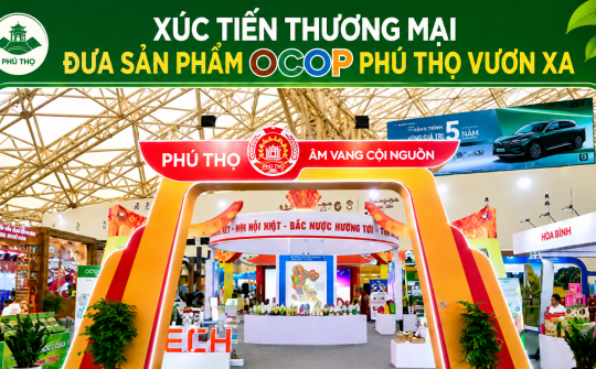 Phú Thọ đẩy mạnh xúc tiến thương mại, mở rộng thị trường, nâng tầm giá trị nông sản