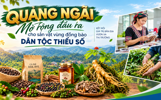 Quảng Ngãi mở rộng đầu ra cho sản vật vùng đồng bào dân tộc thiểu số