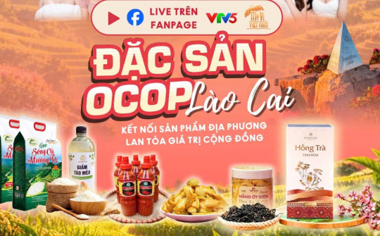 Mega Livestream quảng bá OCOP Lào Cai thu hút hơn 2.000 sản phẩm