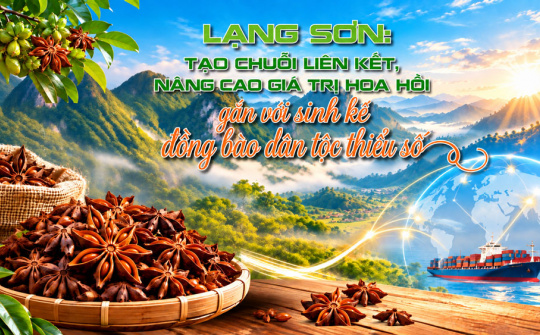 [Emagazine] Lạng Sơn: Tạo chuỗi liên kết, nâng cao giá trị hoa hồi gắn với sinh kế đồng bào dân tộc thiểu số