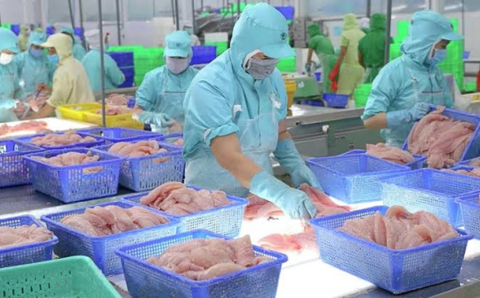Xuất khẩu thủy sản mã HS 03 của Việt Nam: tiếp cận từ mô hình lực hấp dẫn