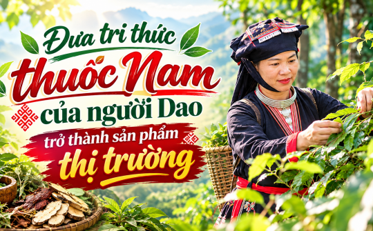 [Emagazine] Đưa tri thức thuốc Nam của người Dao trở thành sản phẩm thị trường
