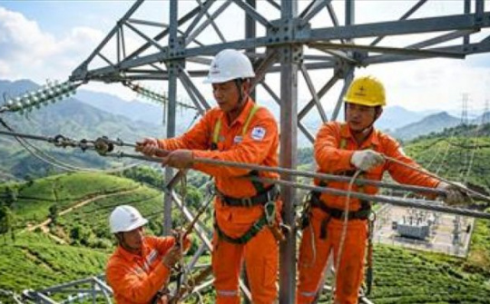 EVNNPT phát động thi đua “100 ngày đêm đẩy nhanh tiến độ, hoàn thành các dự án truyền tải điện trọng điểm năm 2026”