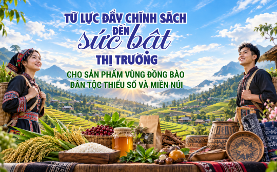[eMagazine] Từ lực đẩy chính sách đến sức bật thị trường cho sản phẩm vùng đồng bào dân tộc thiểu số và miền núi