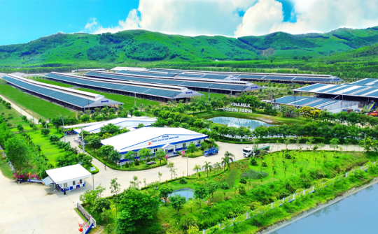 50 năm Vinamilk: Khi 'đạt chuẩn' chưa phải là điểm dừng