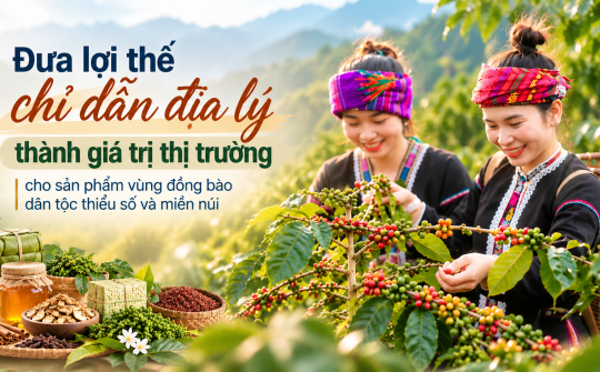 [eMagazine] Đưa lợi thế chỉ dẫn địa lý thành giá trị thị trường cho sản phẩm vùng đồng bào dân tộc thiểu số và miền núi
