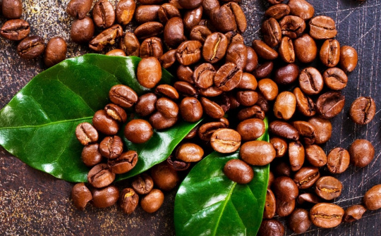 Giá cà phê hôm nay 29/9: Giá Arabica phục hồi hơn 3% sau đợt giảm mạnh