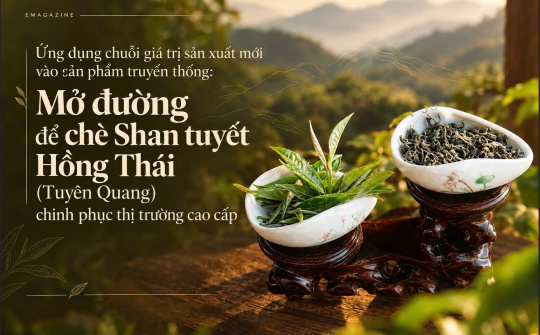 [eMagazine] Mở đường để chè Shan tuyết Hồng Thái (Tuyên Quang) chinh phục thị trường cao cấp: Ứng dụng chuỗi giá trị sản xuất mới vào sản phẩm truyền thống: