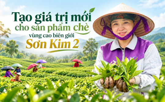 [eMagazine] Tạo  giá trị mới cho sản phẩm chè vùng cao biên giới Sơn Kim 2
