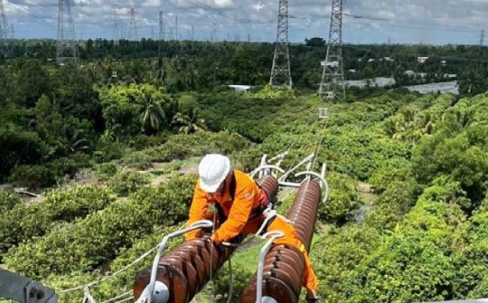 Truyền tải điện Cần Thơ chủ động thực hiện các giải pháp phòng ngừa, giảm sự cố do sét