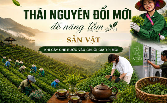 [eMagazine] Thái Nguyên đổi mới để nâng tầm sản vật - Khi cây chè bước vào chuỗi giá trị mới