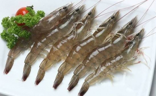 Thực trạng thực Hiện Hợp đồng mua bán tôm thẻ: nhìn từ các công ty cổ phần trên địa bàn tỉnh Khánh Hòa