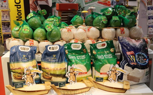 Hành trình đưa hương vị Việt ra thế giới (Kỳ 1): Từ hạt gạo, ly cà phê đến những hương vị Việt trên bản đồ thế giới