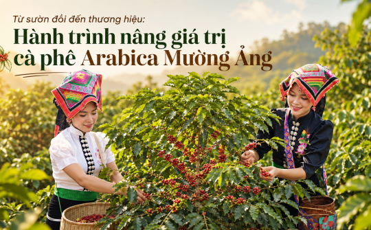 [Emagazine] Từ sườn đồi đến thương hiệu: Hành trình nâng giá trị cà phê Arabica Mường Ảng