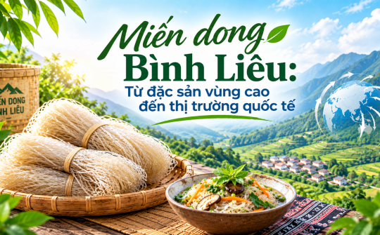 Miến dong Bình Liêu: Từ đặc sản vùng cao đến thị trường quốc tế