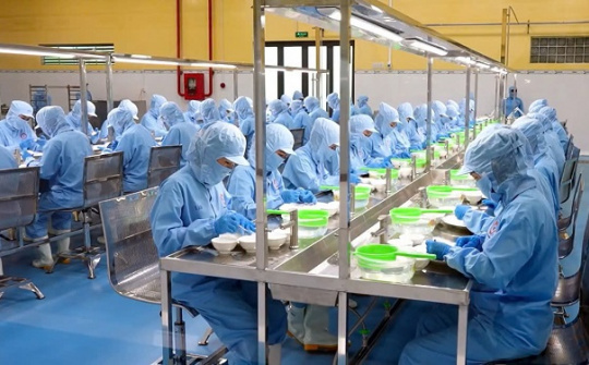 Yến sào Khánh Hòa vào Top 100 doanh nghiệp Nhà nước nộp ngân sách lớn nhất Việt Nam