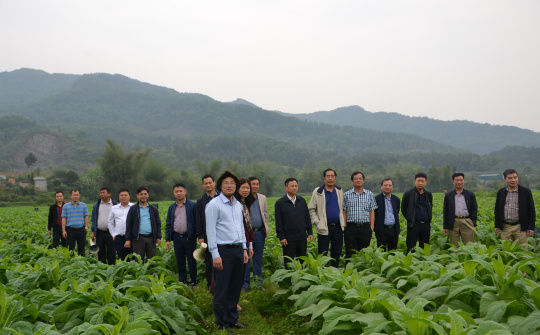 Công ty CP Ngân Sơn: Mô hình đầu tư trực tiếp mang lại hiệu quả cao
